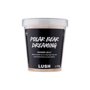 Polar Bear Dreaming